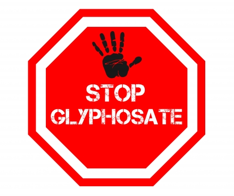 glyphosate danger
